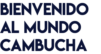 BIENVENIDO AL MUNDO CAMBUCHA